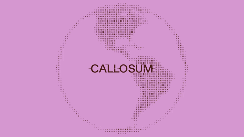 Callosum wordmark in dark brown centred over a stylised globe made of small geometric symbols, on a soft lilac background